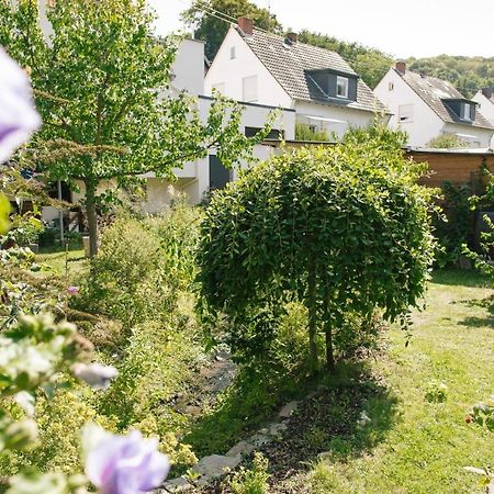 Ferienwohnung Am Breyer Talbach Buitenkant foto